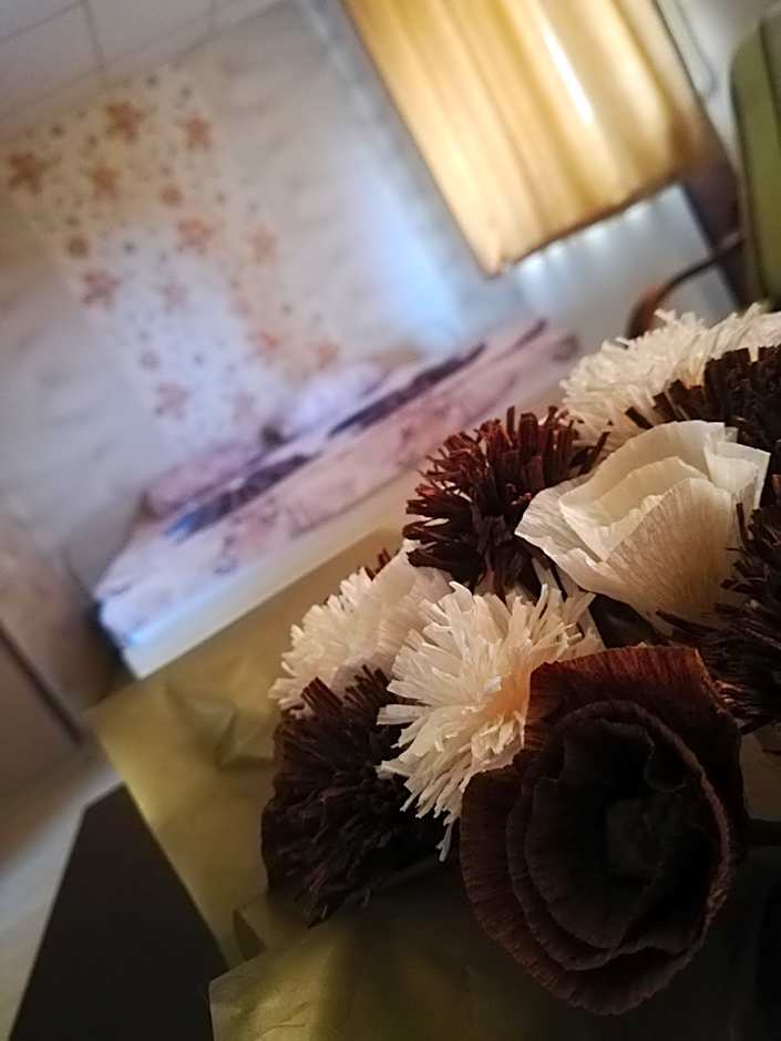 Хотелски Комплекс Родина