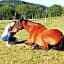 Chambre d'hôte équestre Au petit bonheur