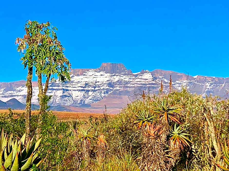 Drakensberg Inkosana Lodge