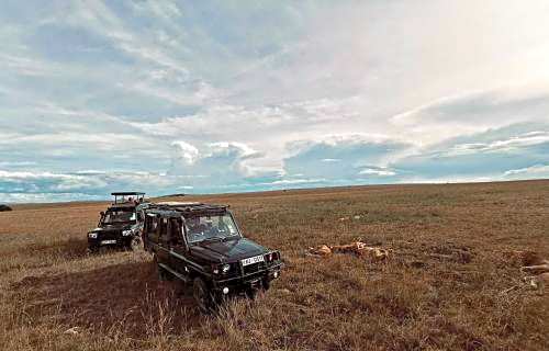 Fig Tree Camp - Maasai Mara