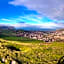 Bryn Goleu Bed and Breakfast