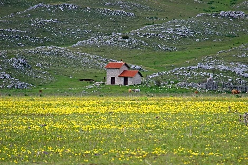 La Stella Danzante B&B