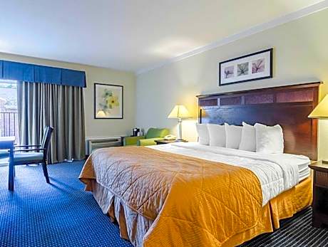 1 King Bed, Nonsmoking