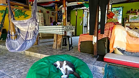 Welcome Surf Hostel