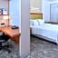 SpringHill Suites by Marriott Detroit Metro Airport Romulus