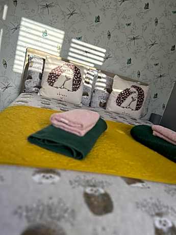 Single Room with Shower