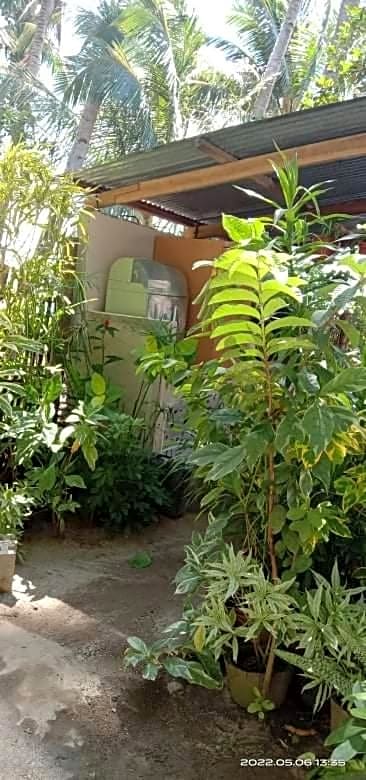 Gaga Haus on the Beach