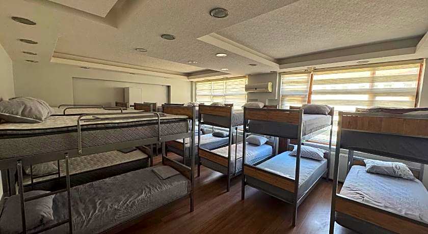 Hostelida