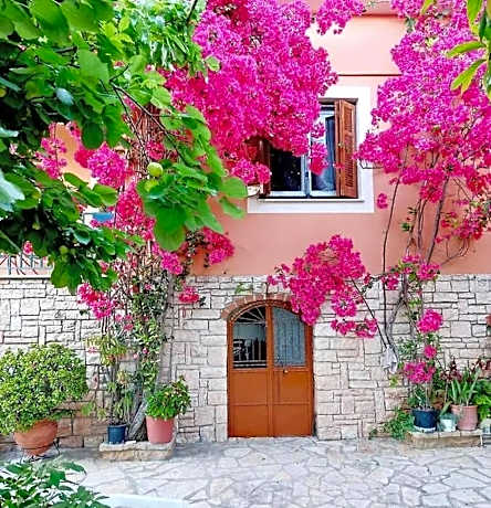 Alexandros 1 by Frangki