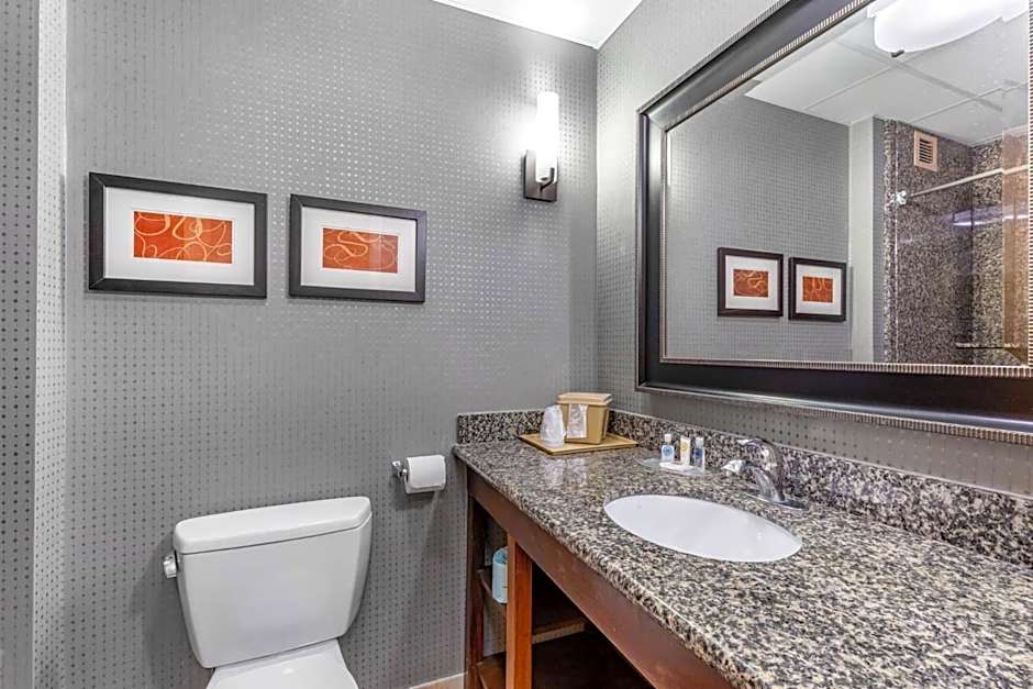 Comfort Suites Smyrna - Nashville Area