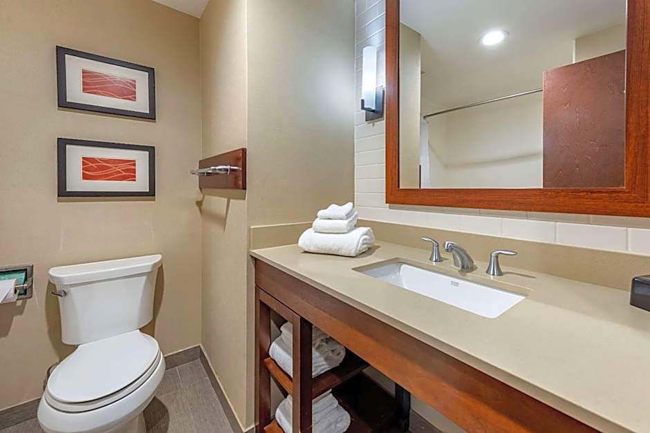 Comfort Inn & Suites Pittsburgh