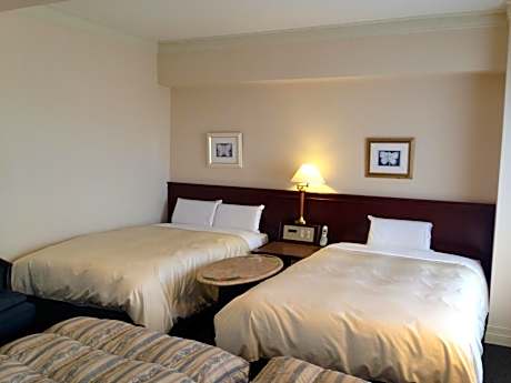 Deluxe Twin Room - Smoking