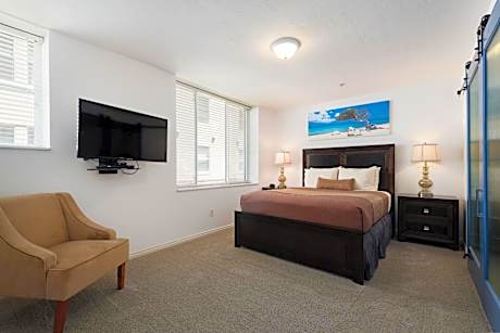 Deluxe Apartment