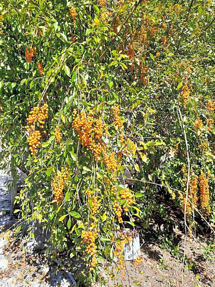 GÎTE Le Calou Pilon