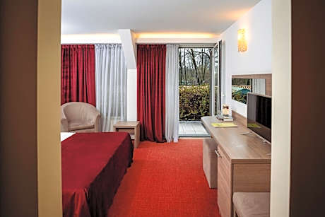 Superior Double Room with Balcony and Park View