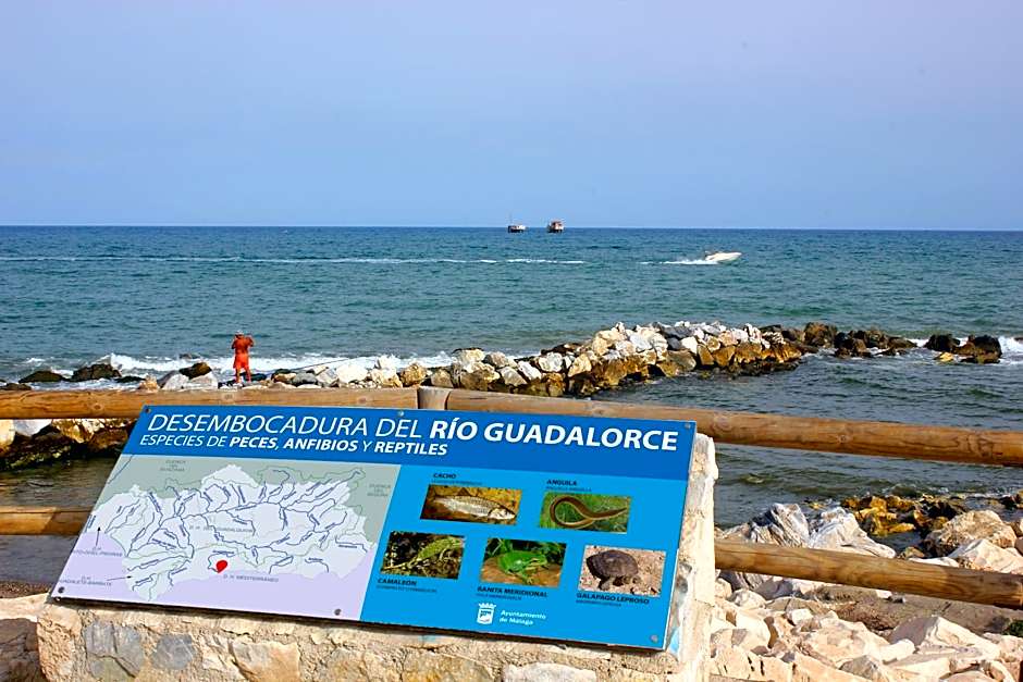 Hotel Malaga Picasso