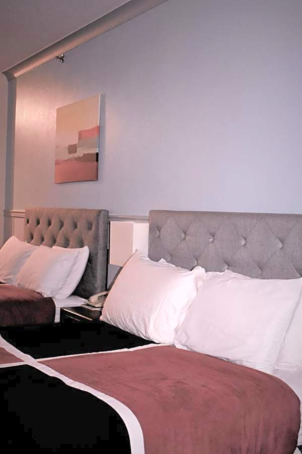 Elite Hotel -Downtown Center- "Ski & Northern light Tour" "Hot Spring Tour "Long-term stay"