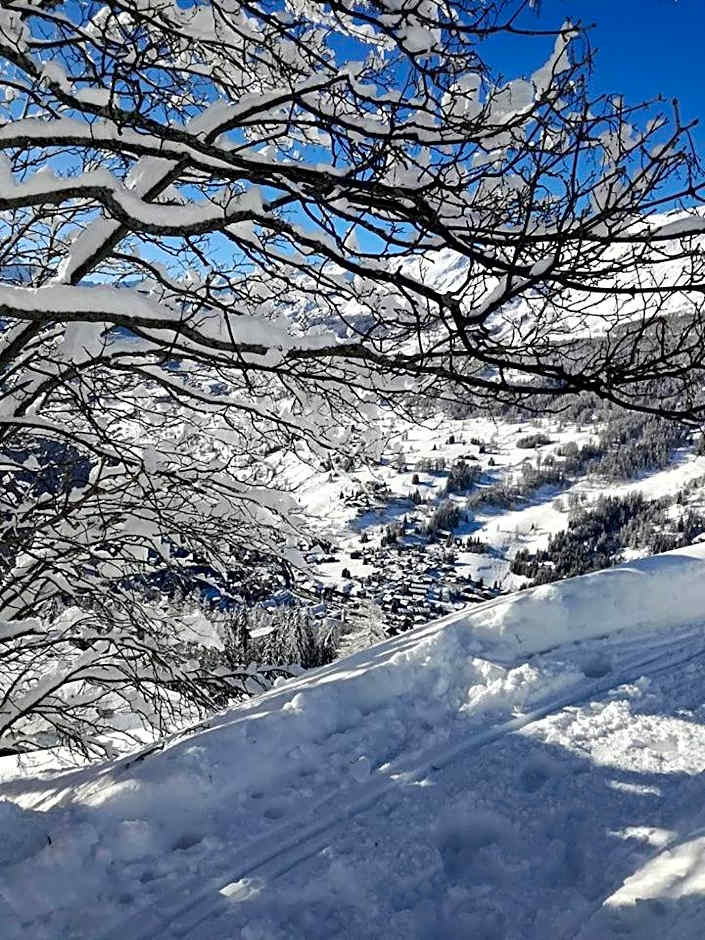 Rifugio Vieux Crest