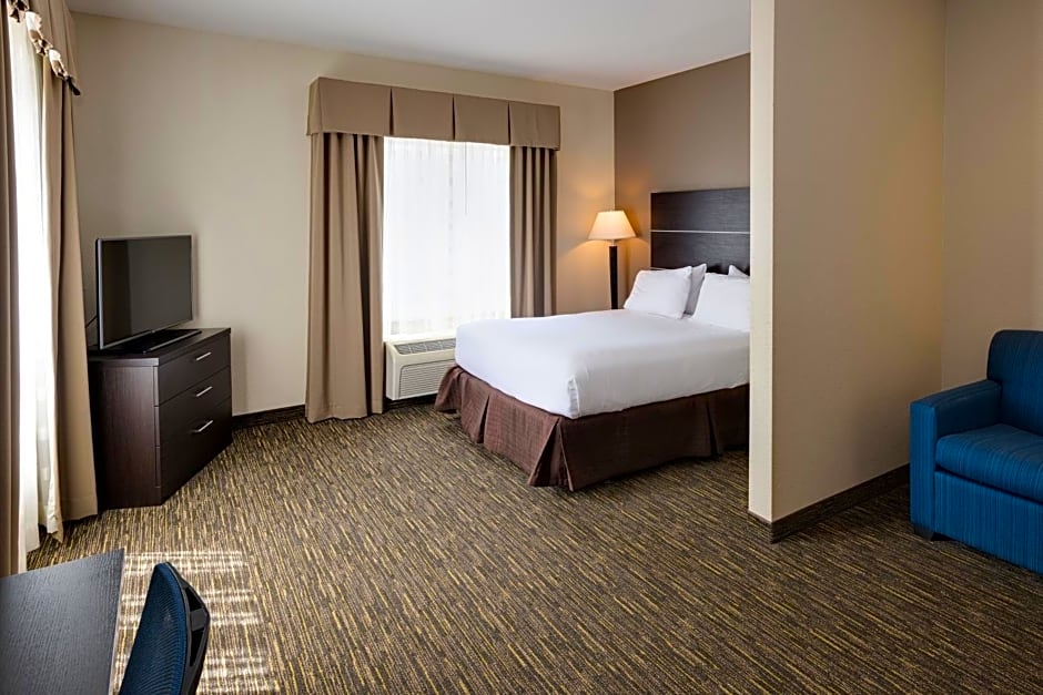 Holiday Inn Express Hotel & Suites Andover East 54 Wichita