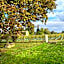 Le Jardin dans les vignes