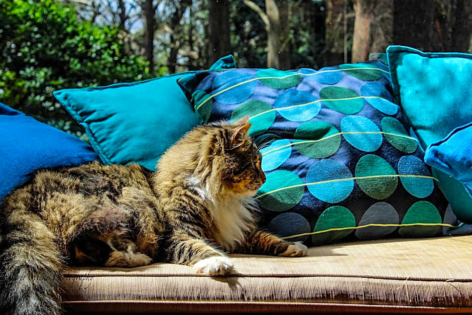 Tomah Retreat - Studio RELAX with fireplace