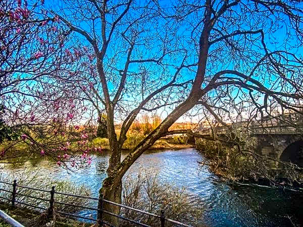 The Terrace at Riverside Suites