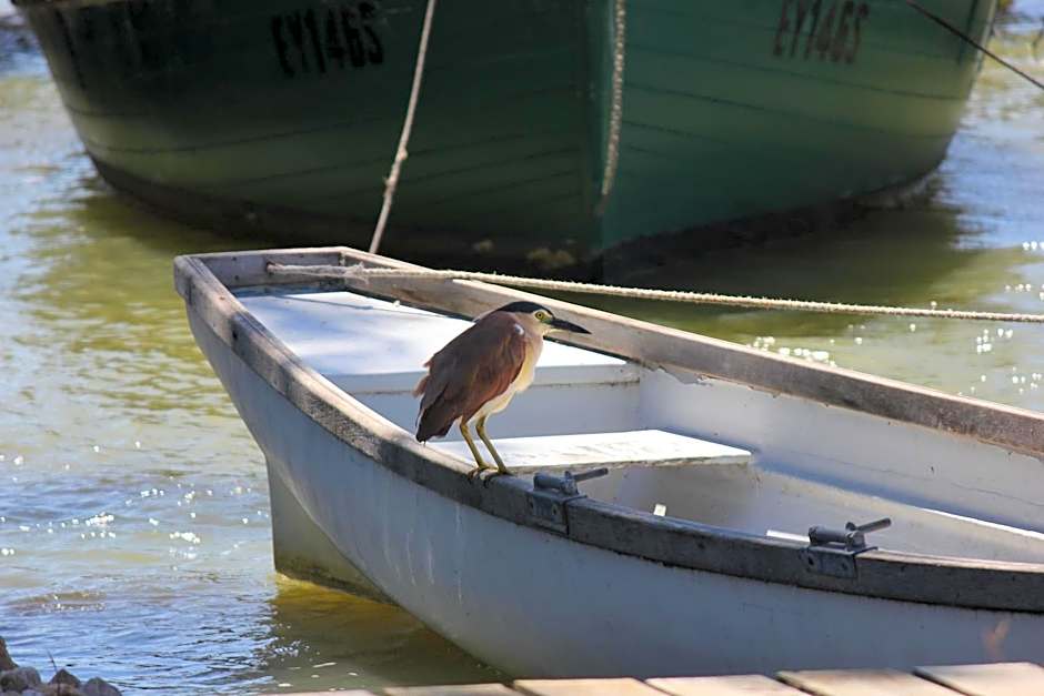 Boathouse - Birks River Retreat