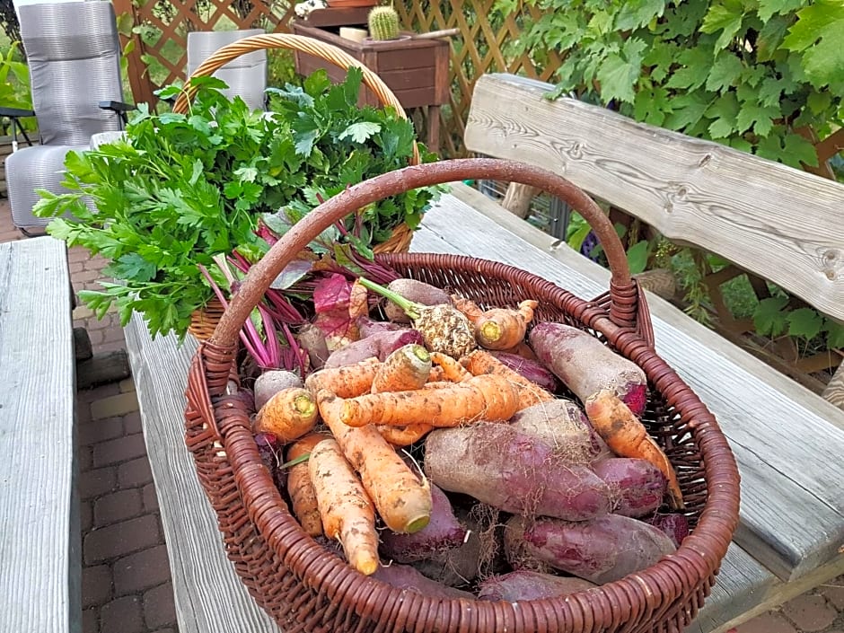 Wypoczynek pod Lipami