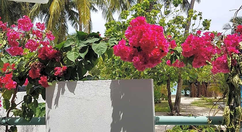 Vaali Maldives Island Escapes & Dive