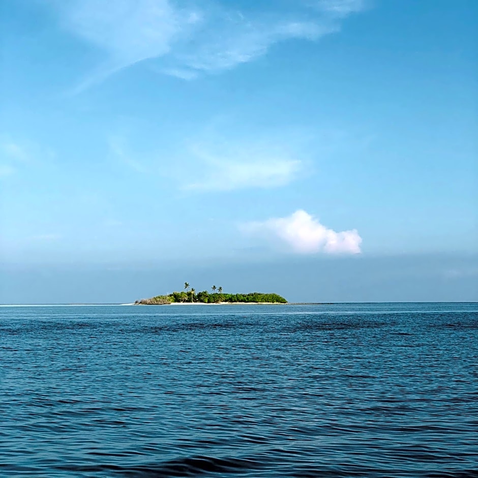 Rasdhoo Wave Blue