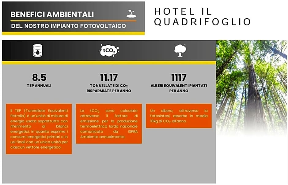 Hotel Quadrifoglio Roma Eur