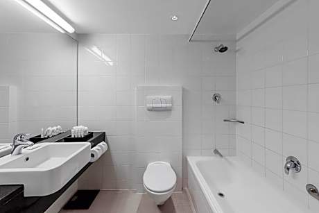 1 King Standard Accessible Mountain View