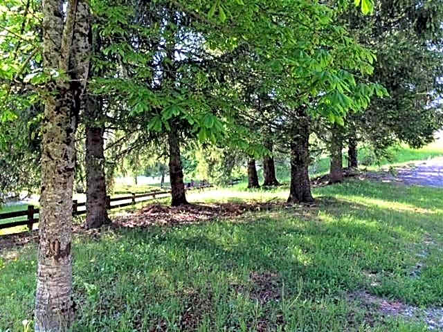 Miramonti Park Hotel