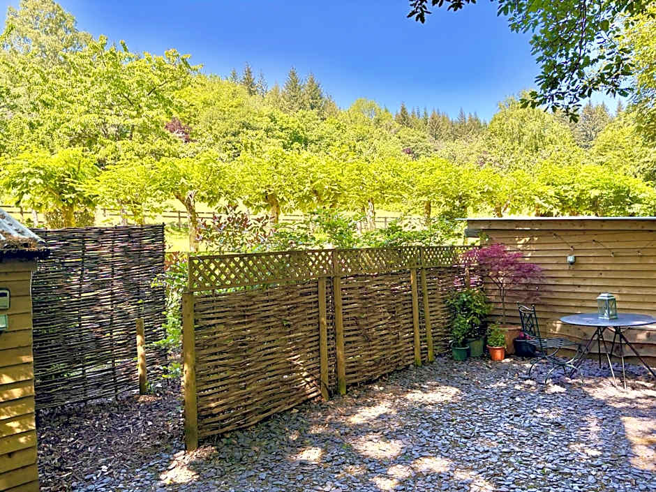 Shepherd’s delight