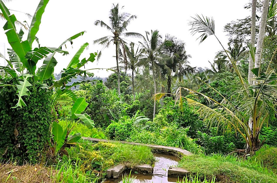 Ubud Sawah Scenery Villa and Homestay