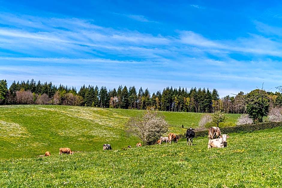 Demeures & Châteaux Auberge de la Tour - Hôtel & Restaurants - Marcolès Auvergne