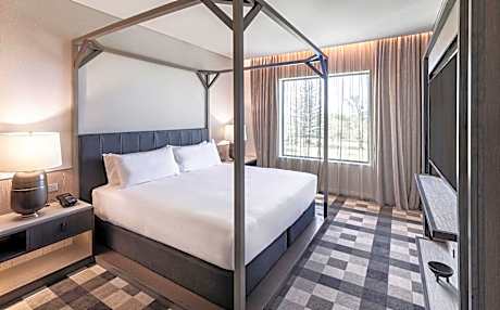 King Presidential Suite