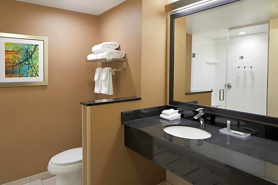 Fairfield Inn & Suites by Marriott Atlanta Lithia Springs
