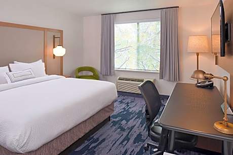 Room, 1 King Bed