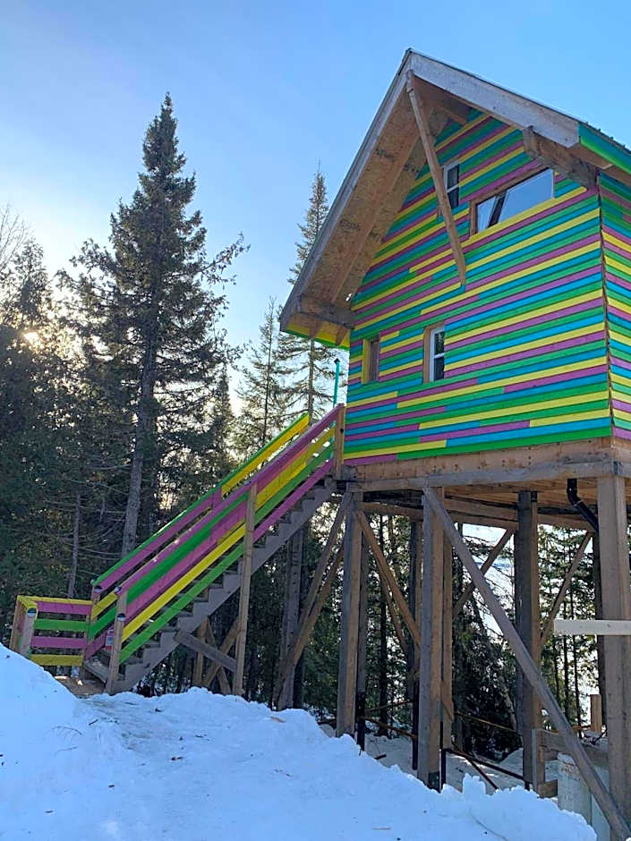 Entre Lemoine et l'arbre