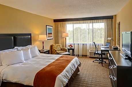 King Suite with Living Room - Non Smoking