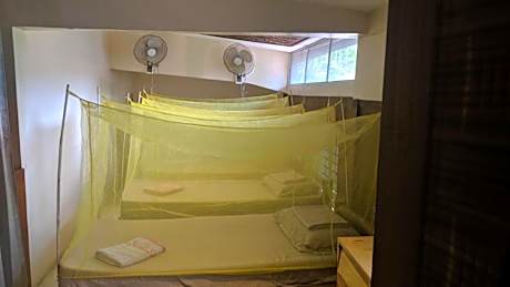 Bed in 4-Bed Mixed Dormitory Room