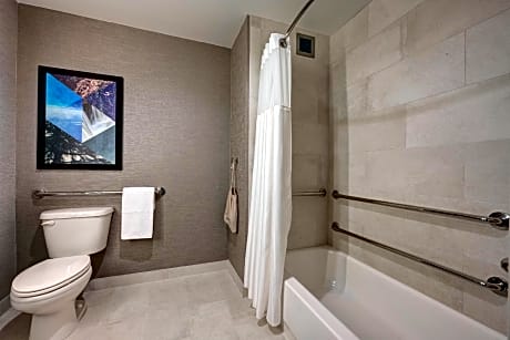 2 Queens Mobility Accessible Tub 1 Bed Suite