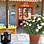 B&B Iolì Vesuvio