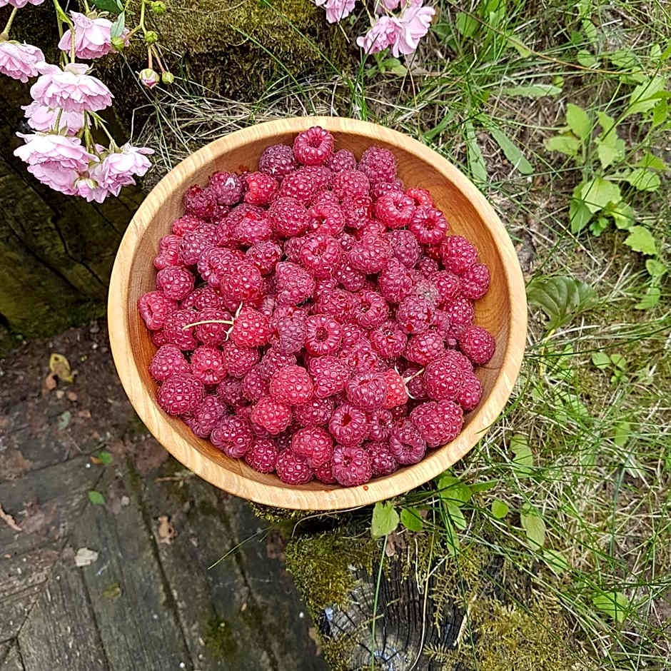 Chambres d'Hôtes Les Ifs