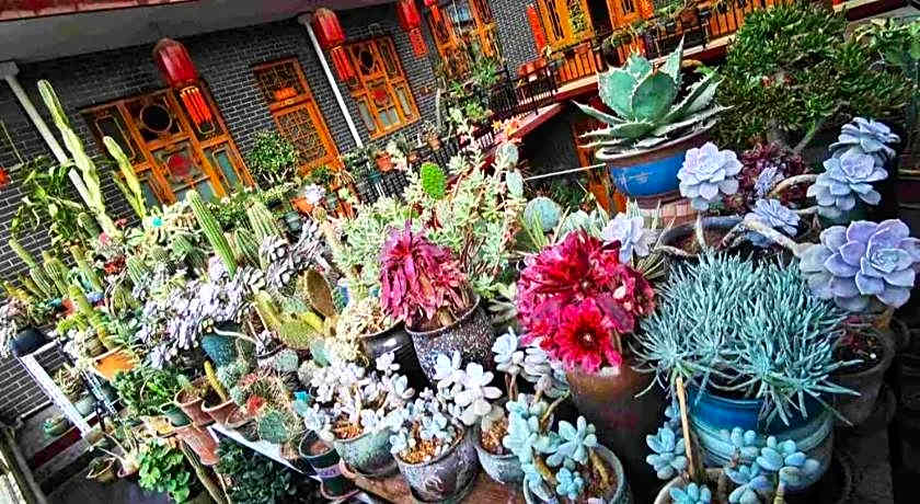 Pingyao Jia Xin Guest House