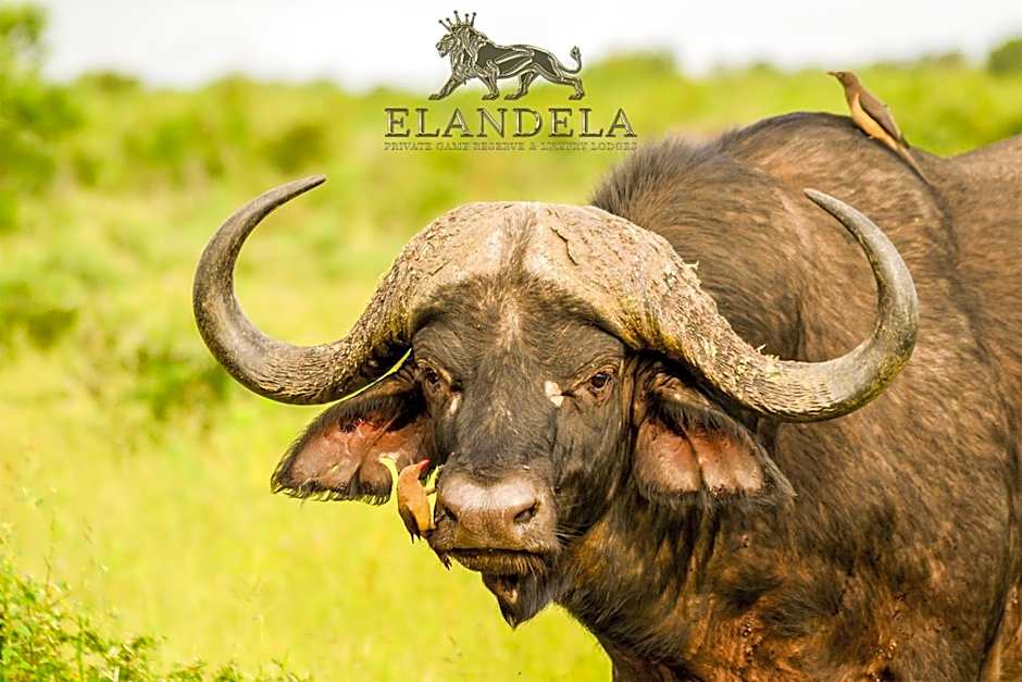 Elandela Private Game Reserve and Luxury Lodges Pty Ltd
