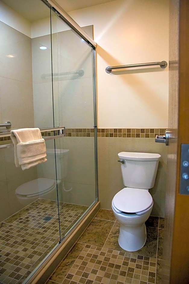 La Villa de Zaragoza