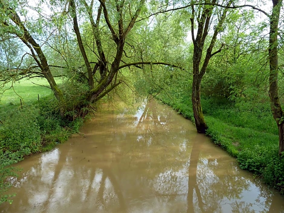 Maison Les Beaux Arts