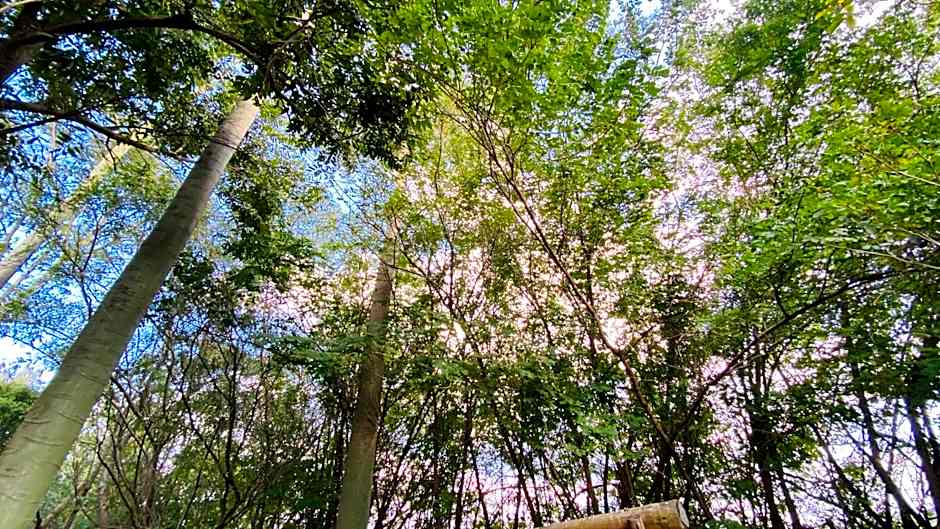 Casa de Campo - Condomínio Arco Íris